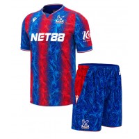 Camiseta Crystal Palace Adam Wharton #20 Primera Equipación para niños 2024-25 manga corta (+ pantalones cortos)